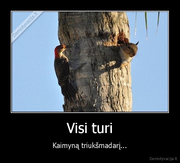 triuksmadarys, kaimynas,kaimynas, grezia