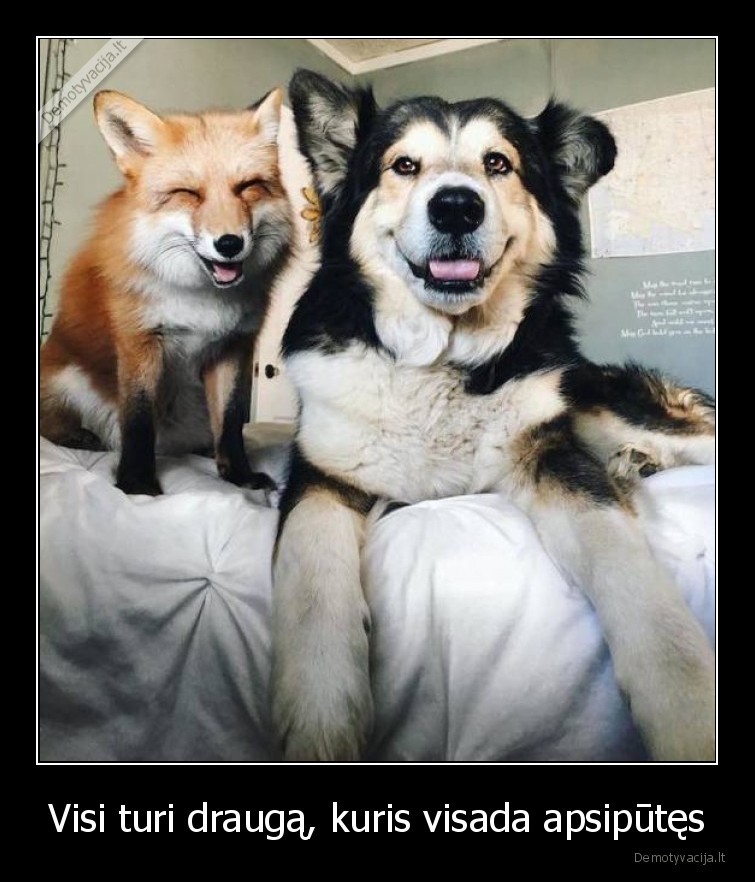 Visi turi draugą, kuris visada apsipūtęs