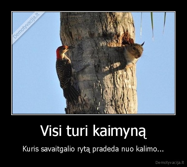 genys, ir, vovere,bjaurus, kaimynas