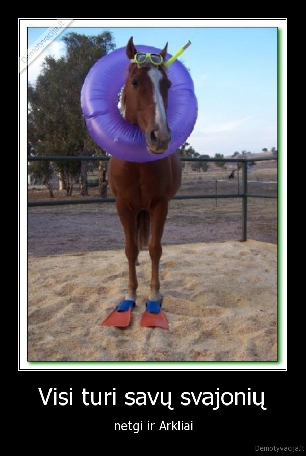 Visi turi savų svajonių