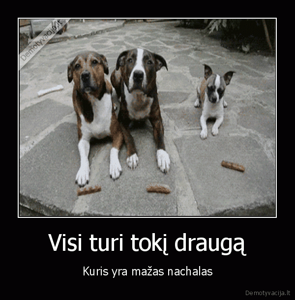 juokingas, suo,naglas, suo