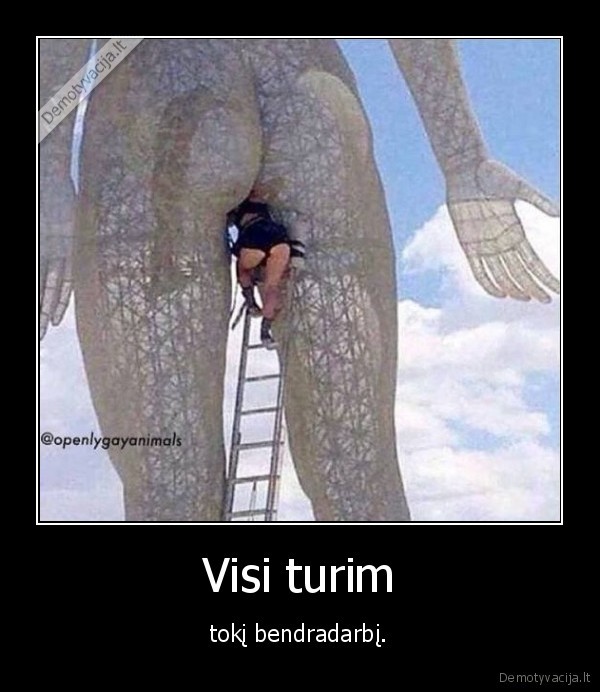 bendradarbis,sikna,bosas