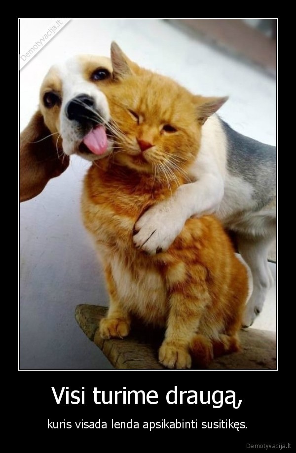 Visi turime draugą,
