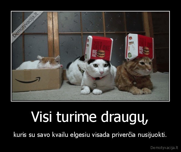 Visi turime draugų,