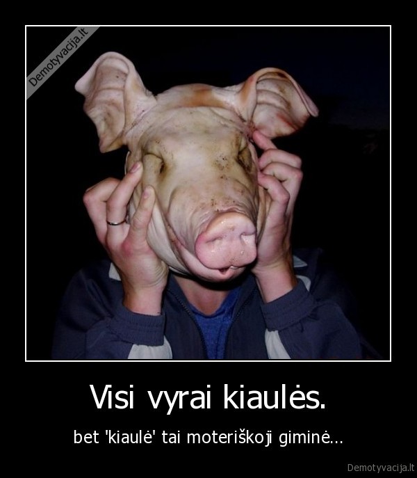 Visi vyrai kiaulės.