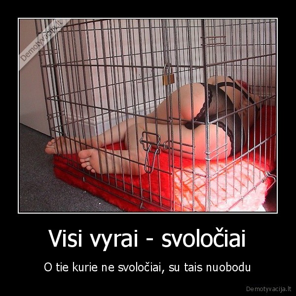 Visi vyrai - svoločiai