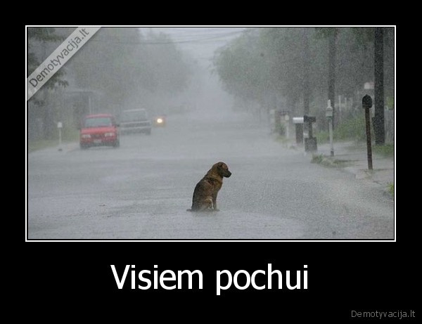 Visiem pochui