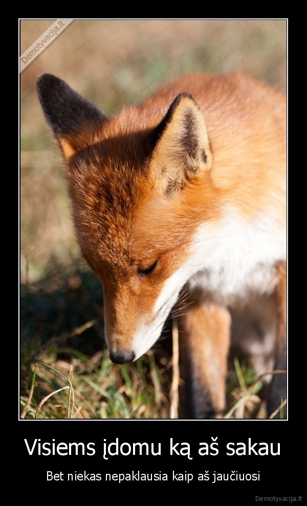 liudna, lape,lapute, liudi,what, did, the, fox, say