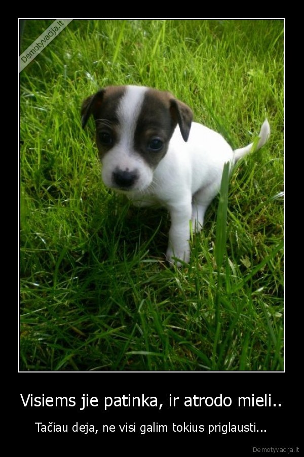 Visiems jie patinka, ir atrodo mieli..