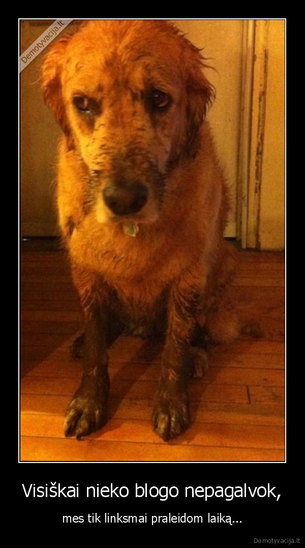 Visiškai nieko blogo nepagalvok,