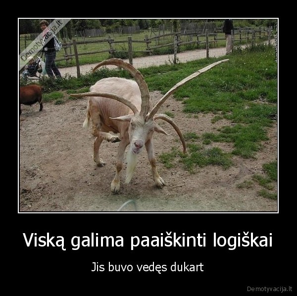 keturragis, ozys,vestuves,neistikima, zmona,ragai