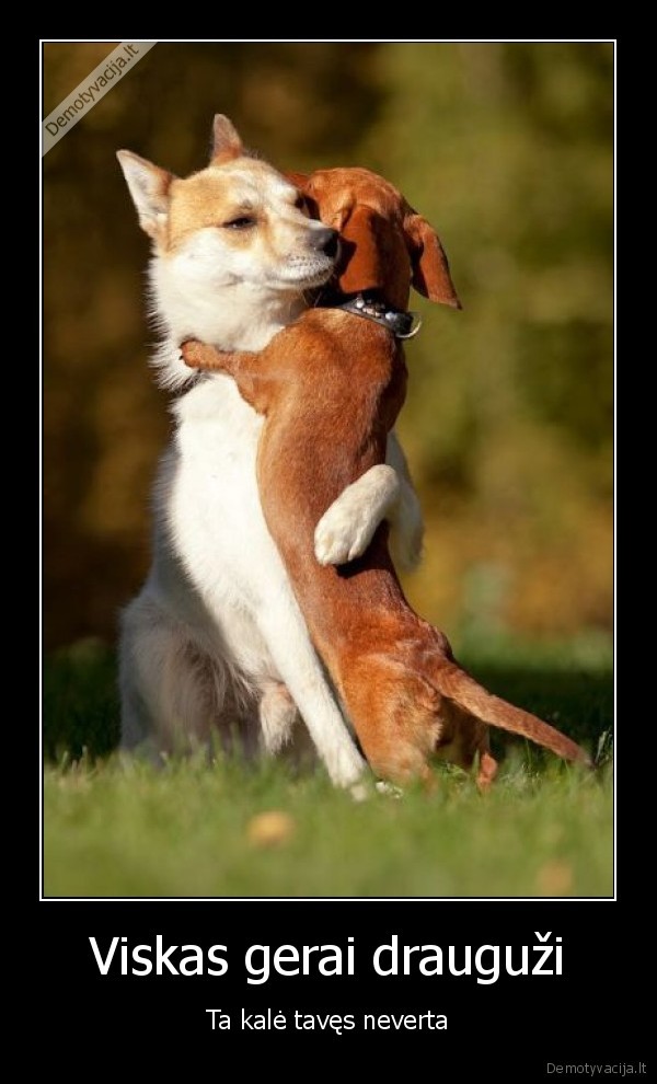 suo, geriausias, draugas,gyvunai,meile,kale