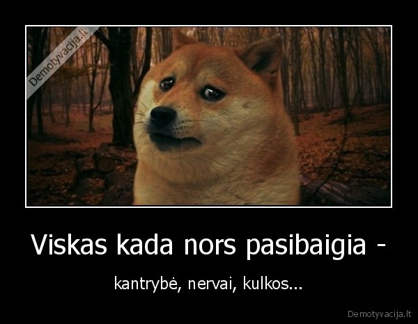 nervai,kulkos,kantrybe