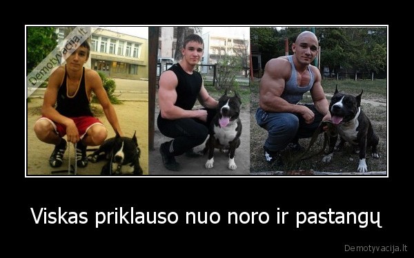 sportas, turnik, kacia, hanteliai, sport