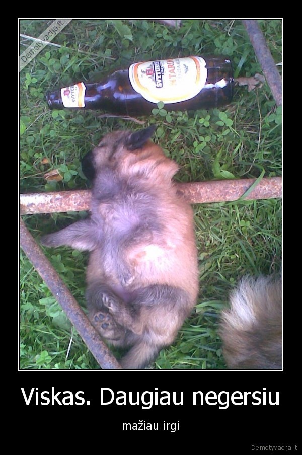 sunys,alus,gerti,nuluzti