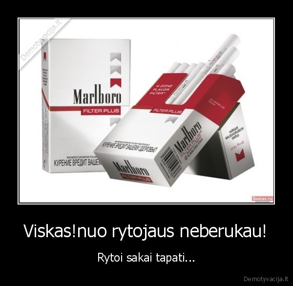 marlboro,rukymas