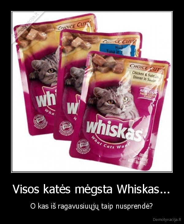 whiskas,kates