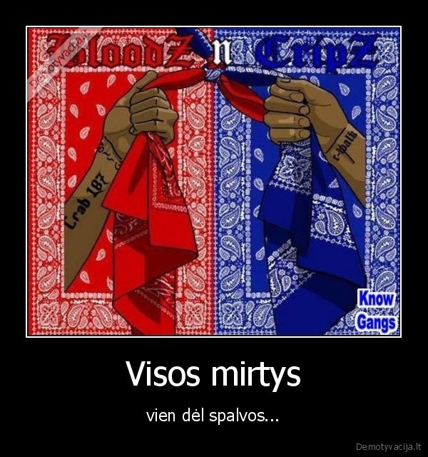 Visos mirtys