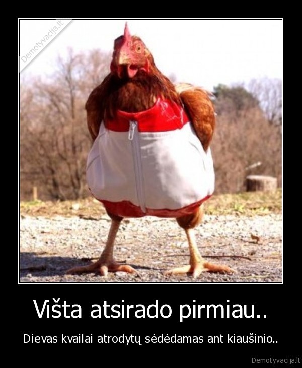 vista, atsirado, pirmiau,sedeti, ant, kiausinio