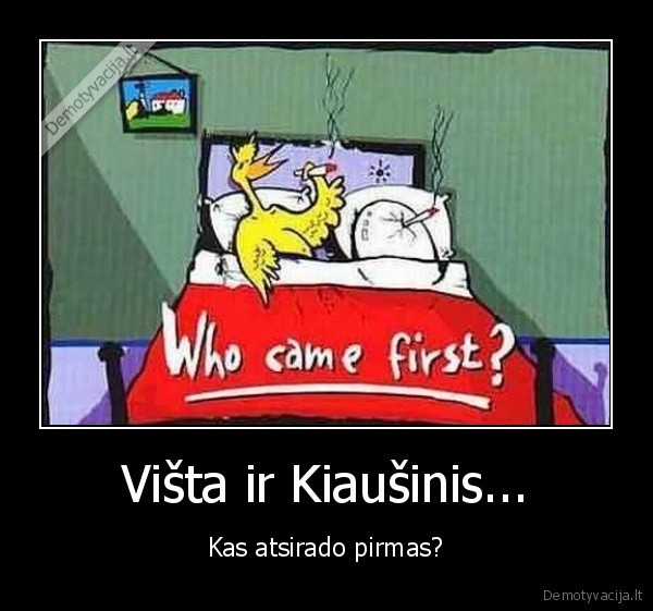 vista,kiausinis,pirmas