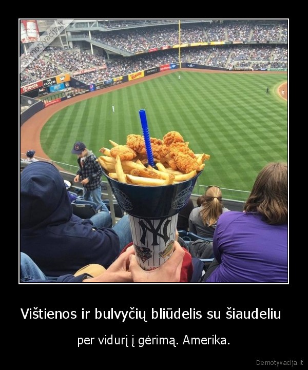 vistiena,bulvytes,gerimas,amerika