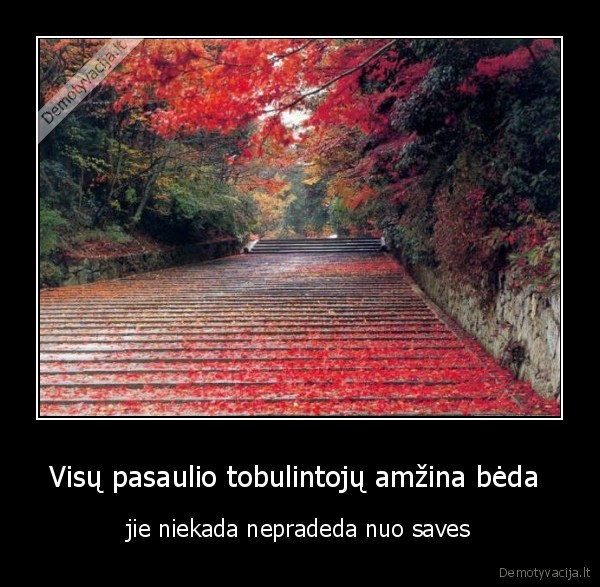 Visų pasaulio tobulintojų amžina bėda 