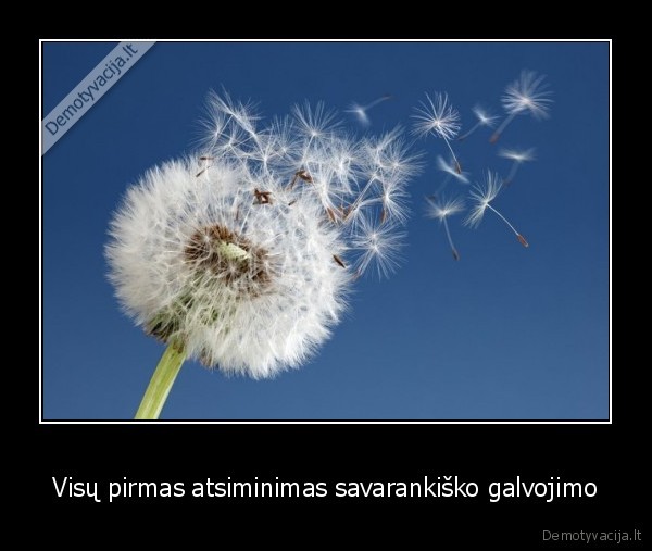 pagauni, puka, galvoji, nora