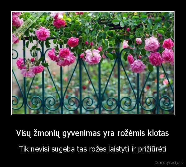 Visų žmonių gyvenimas yra rožėmis klotas