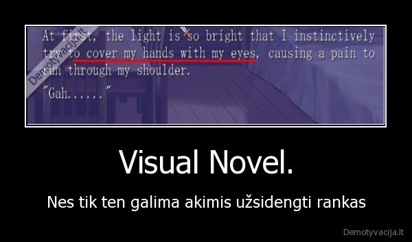 visual, novel,fail