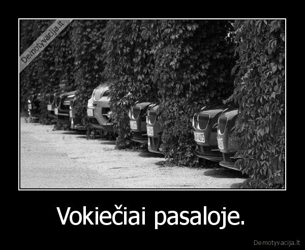 Vokiečiai pasaloje.