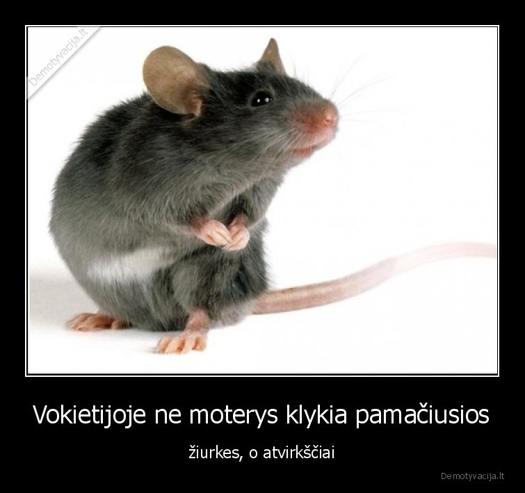 ziurkes,vokietes,vokietija,grozis,klykia