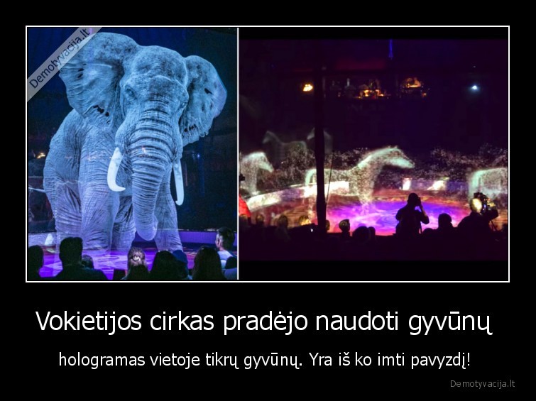 cirkas,hologramos,aktualijos,gyvunai