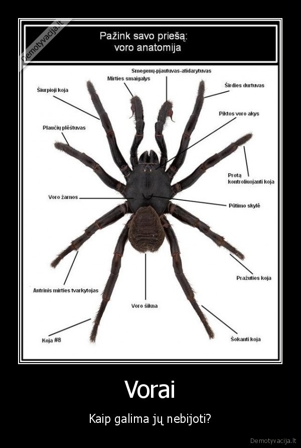 vorai,baime,zudikas,mirtis,koja