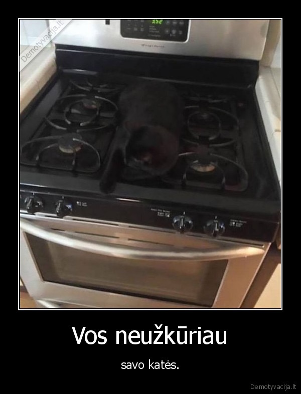 kate,virykle,juoda, kate