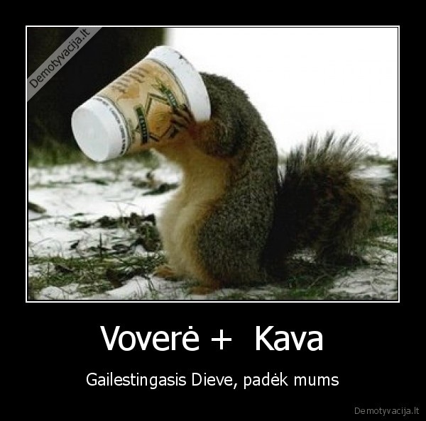 Voverė +  Kava