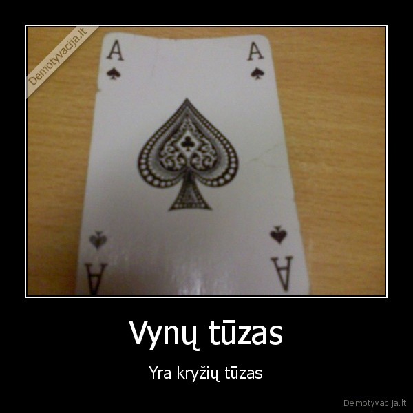 sulei, kalam, kortom, ir, uzpasinom, prikola