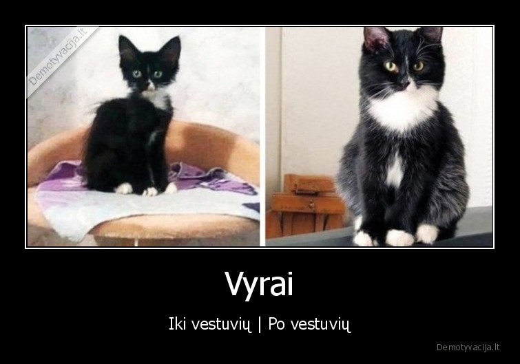 kudenos,kudas, vyras