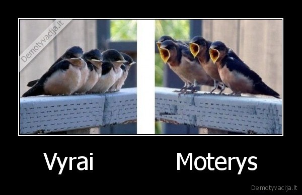 Vyrai           Moterys