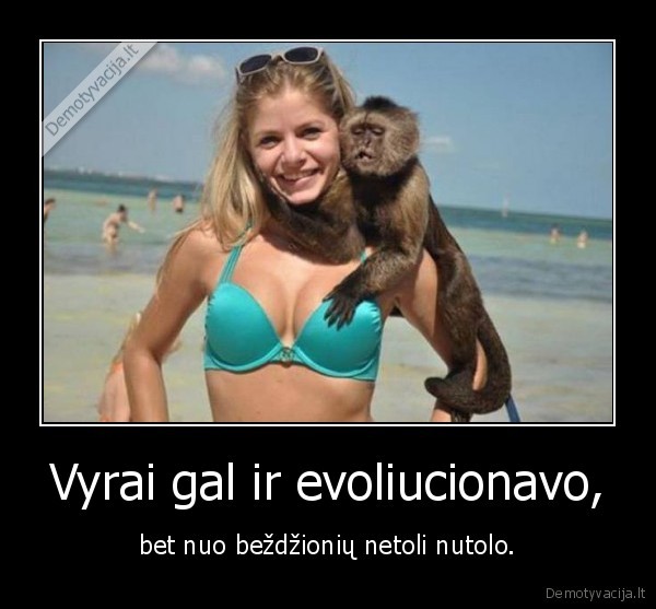 bezdzione,mergina,papai