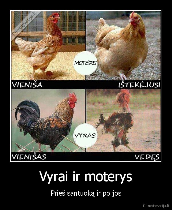 santuoka,vestuves,gaidziai