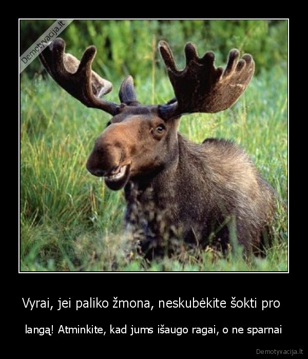 Vyrai, jei paliko žmona, neskubėkite šokti pro 