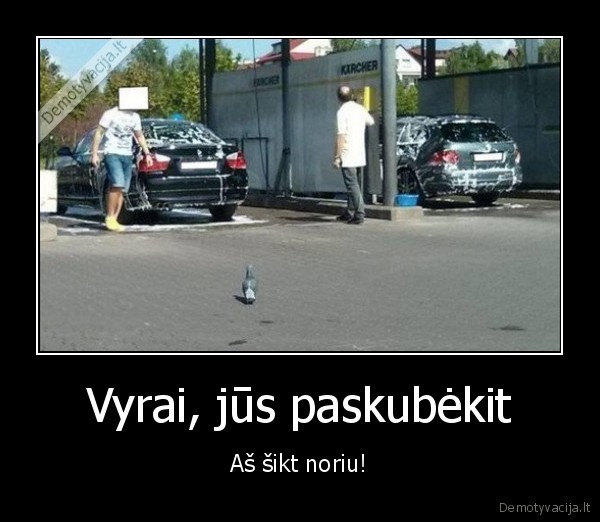 balandis,plauna, masinas