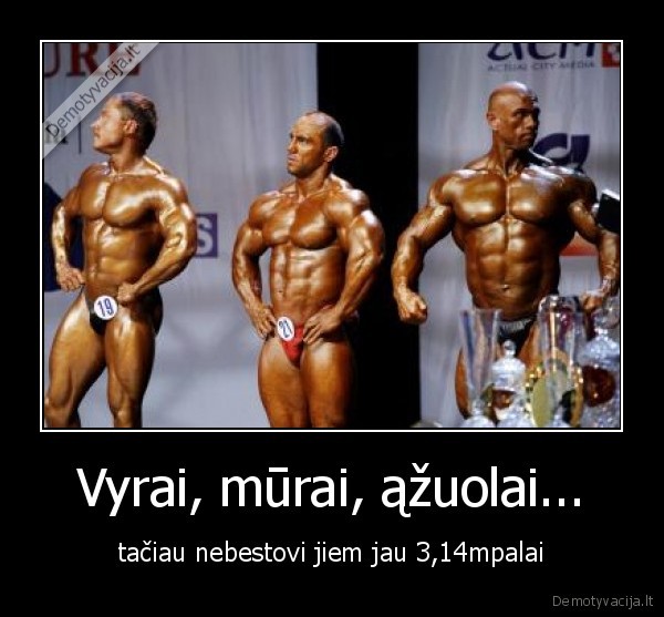 Vyrai, mūrai, ąžuolai...