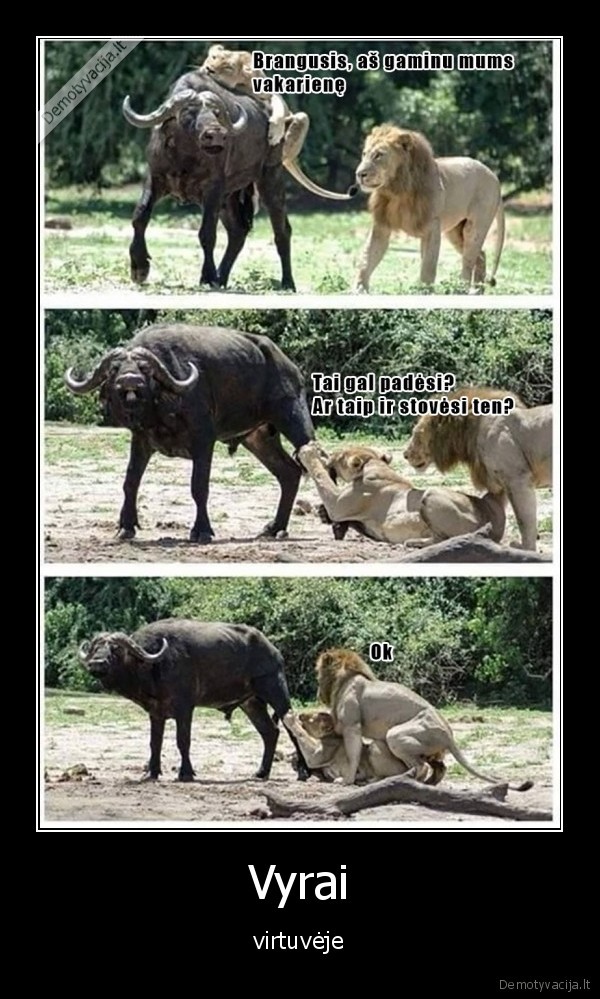 virtuve,vyrai
