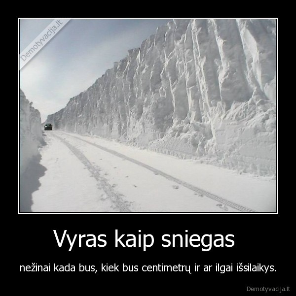 Vyras kaip sniegas 