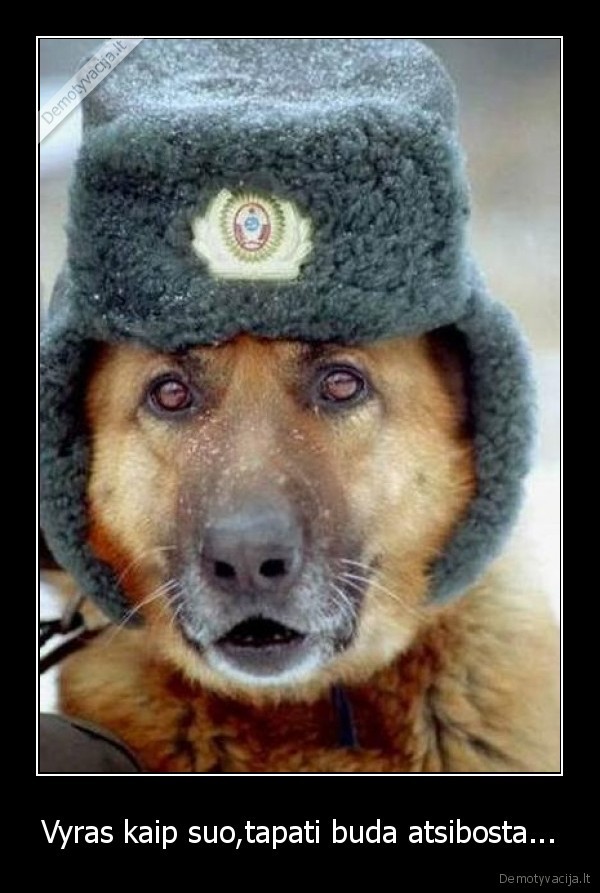 Vyras kaip suo,tapati buda atsibosta...