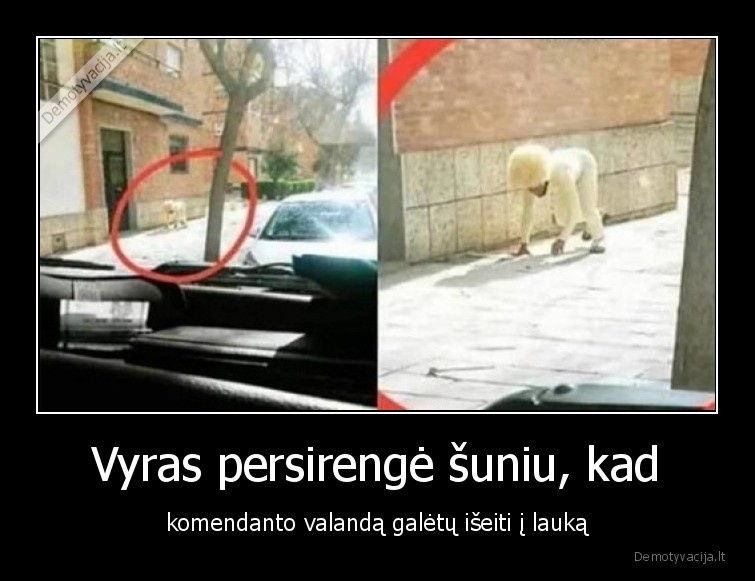 komendanto, valanda,suo,kostiumas,karantinas