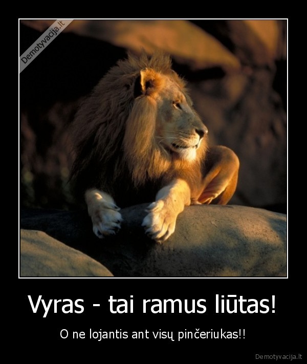vyras,liutas,ramus