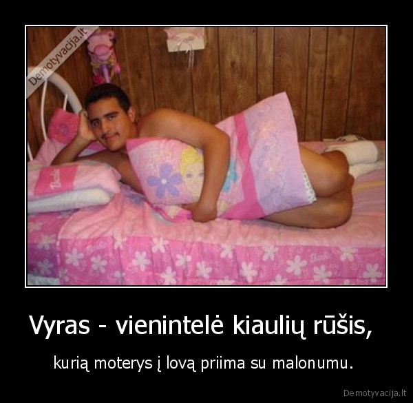 Vyras - vienintelė kiaulių rūšis, 