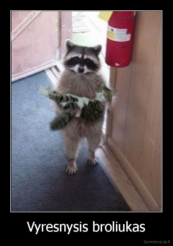 Vyresnysis broliukas